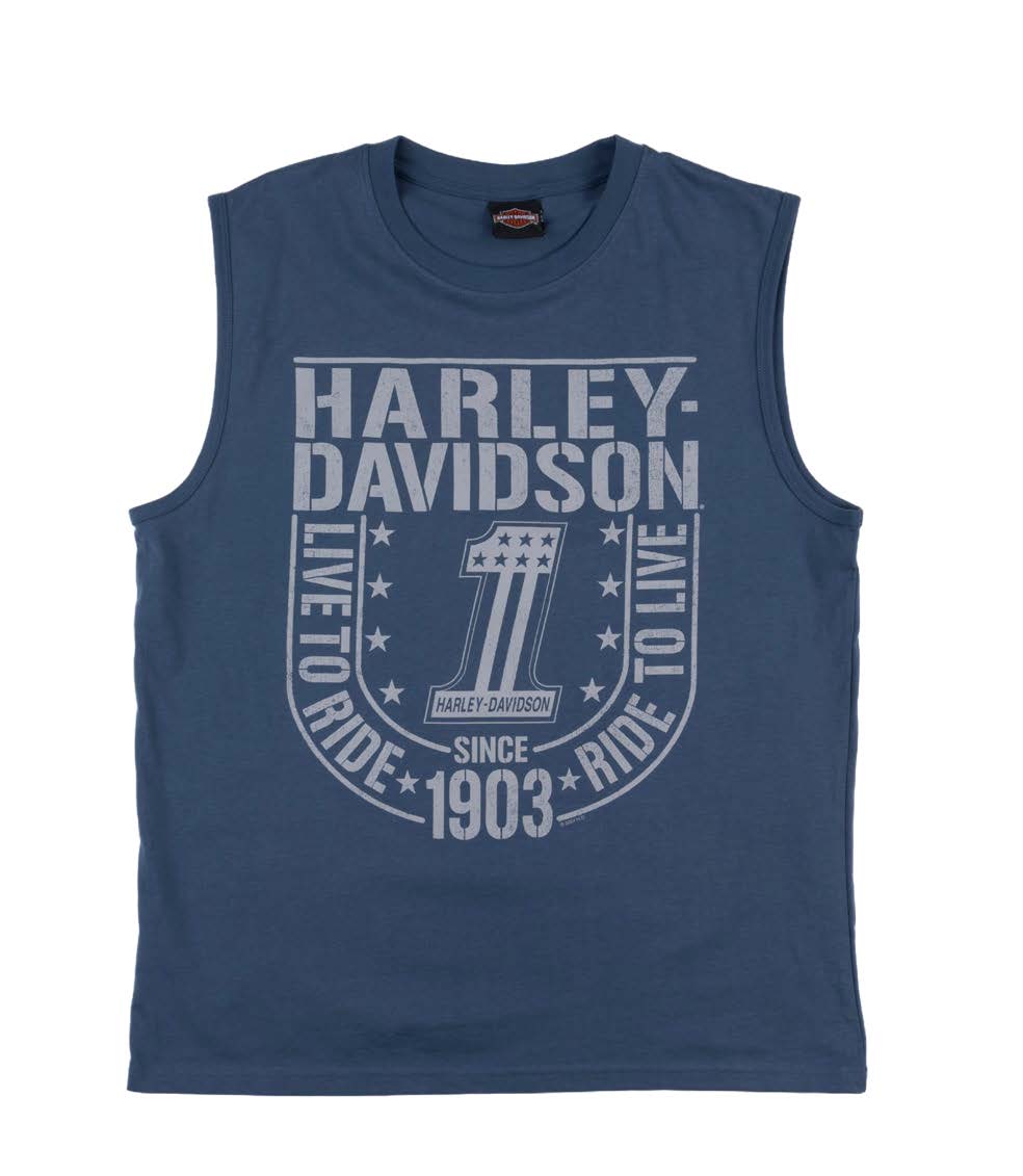 Harley-Davidson® Men's Star Proud Muscle Tee - Blue
