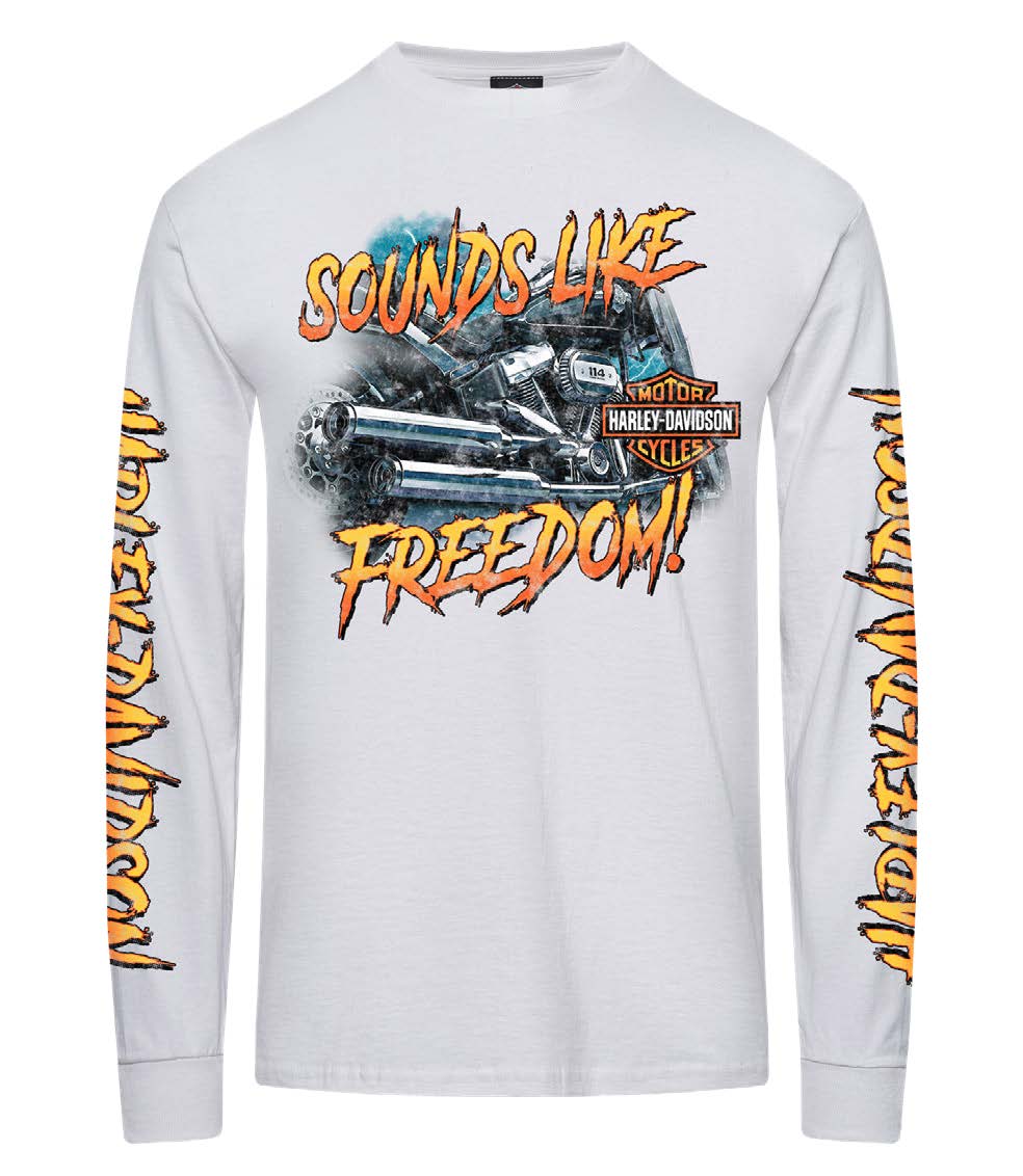 Men's Harley-Davidson® Statement Long sleeve Tee