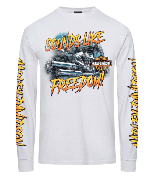 Men's Harley-Davidson® Statement Long sleeve Tee