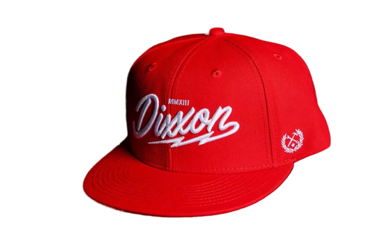 DIXXON Lightning Snapback Cap