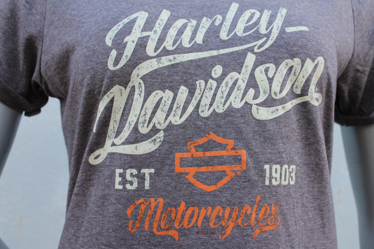 Harley-Davidson® Women's In the Round Short Sleeve Tee - Macchiato