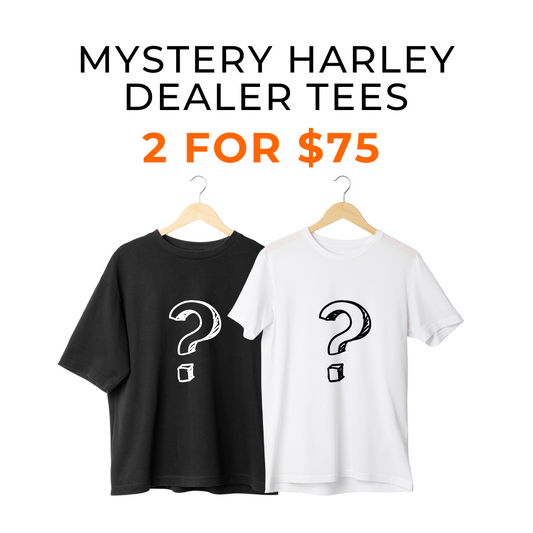 Harley-Davidson® Men's Mystery Tee-Shirts