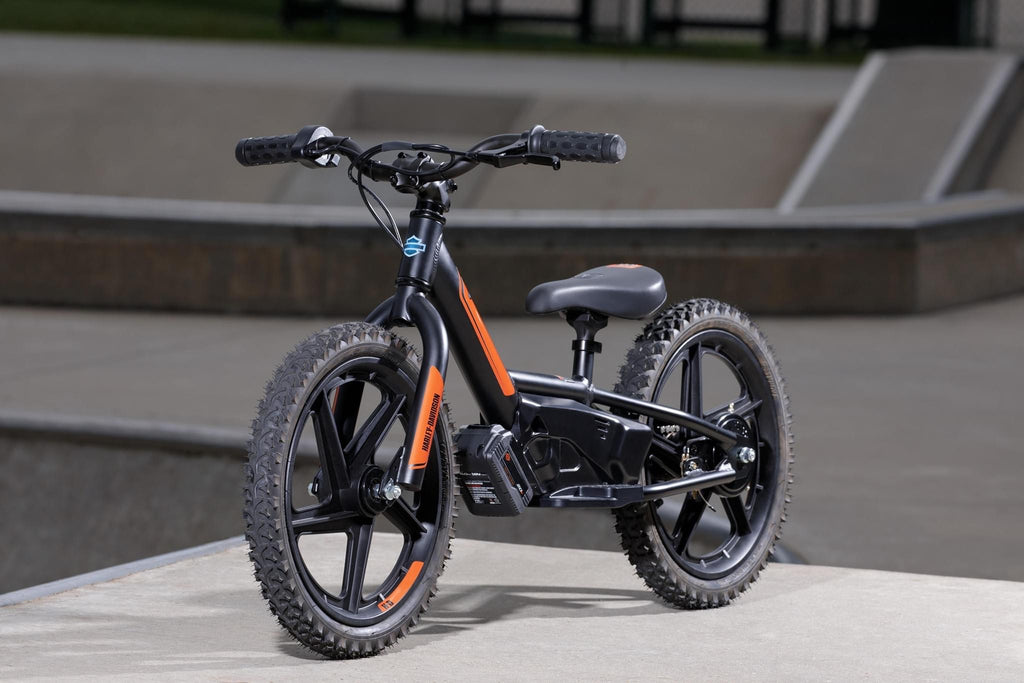 Harley Davidson IRONe 16 Electric Balance Bike STACYC Bundaberg